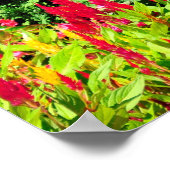 Saratoga's Iconic Traver's Stakes Lawn Jockeys Poster (Hoek)