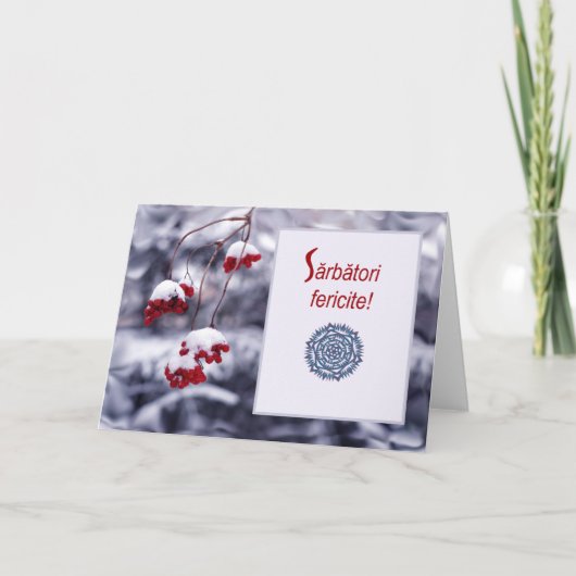 Sarbatori fericite, Roemeense kerst Kaart (Voorkant)