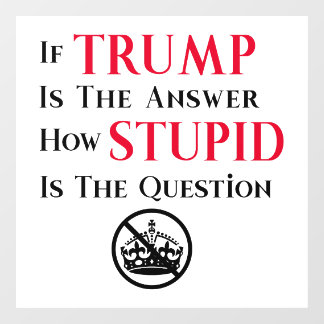 Sarcastic Anti Trump Protest Statement  Raamsticker