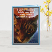 Sarcastic Cat Funny Birthday Kaart (Gele Bloem)