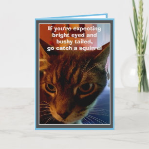 Sarcastic Cat Funny Birthday Kaart