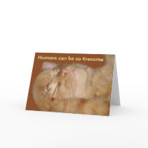 Sarcastic Cat Valentijnsdag Card