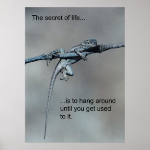 Sarcastic Lizard Secret of Life Poster