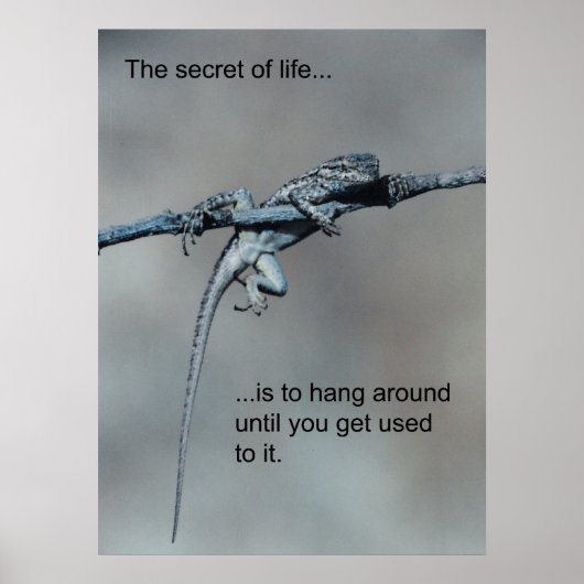 Sarcastic Lizard Secret of Life Poster (Voorkant)