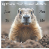 sarcastic Your opinion matters Sticker (Voorkant)