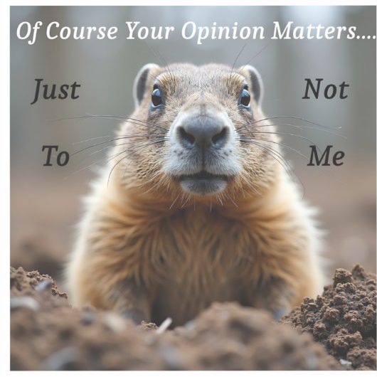 sarcastic Your opinion matters Sticker (Voorkant)