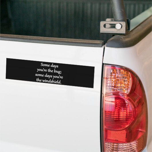 Sarcastic Zen Phrase - The Bug And The Windshield Bumpersticker (Op Truck)