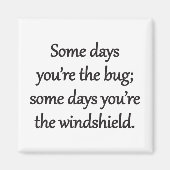 Sarcastic Zen Phrase - The Bug And The Windshield Magneet (Voorkant)