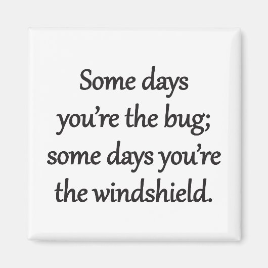 Sarcastic Zen Phrase - The Bug And The Windshield Magneet (Voorkant)