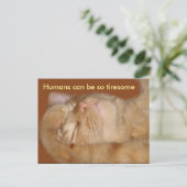 Sarcastisch kat - de mens kan zo knap zijn briefkaart (Staand voorkant)