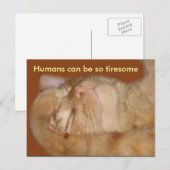 Sarcastisch kat - de mens kan zo knap zijn briefkaart (Voorkant / Achterkant)