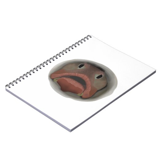 Sarcastisch voorhoofd — Notitieboek viskop (Linkerzijde)