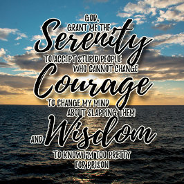 Sarcastische domme mensen Serenity Prayer-shirt T-shirt