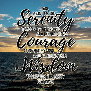 Sarcastische domme mensen Serenity Prayer-shirt T-shirt