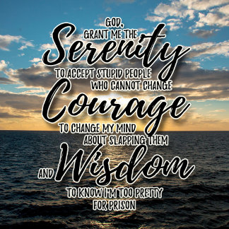 Sarcastische domme mensen Serenity Prayer-shirt T-shirt