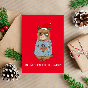 Sarcastische Funny Christmas Cat vakantie Kaart
