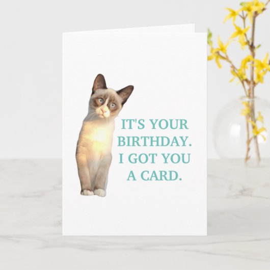 Sarcastische Kaart, verjaardagskat Kaart (Gele Bloem)