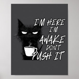 Sarcastische Kat Grappige Kat Ik Ben Hier Ik Ben W Poster