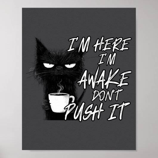 Sarcastische Kat Grappige Kat Ik Ben Hier Ik Ben W Poster (Voorkant)