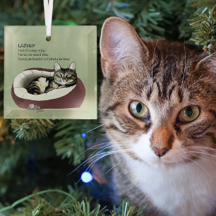 Sarcastische Luie Lapjeskat Humor Saliegroen Glas Ornament