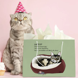 Sarcastische Luie Lapjeskat Humor Saliegroen Groot Cadeauzakje