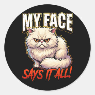 Sarcastische Perzische Kat Mijn Gezicht Zegt Het A Ronde Sticker