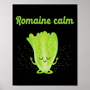 Sarcastische Romaine Kalm Zen Yoga Vreedzame Gym C Poster