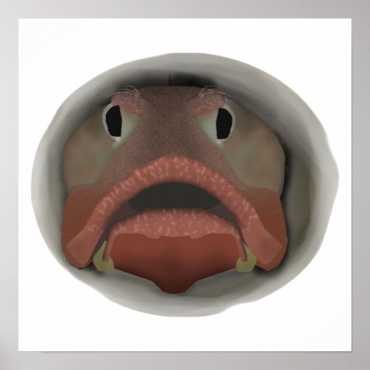 Sarcastische rugkop - viskop poster (Voorkant)