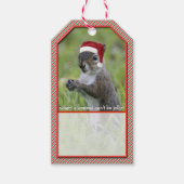 Sarcastische Santa Squirrel met Santa Hat Cadeaulabel (Voorkant)