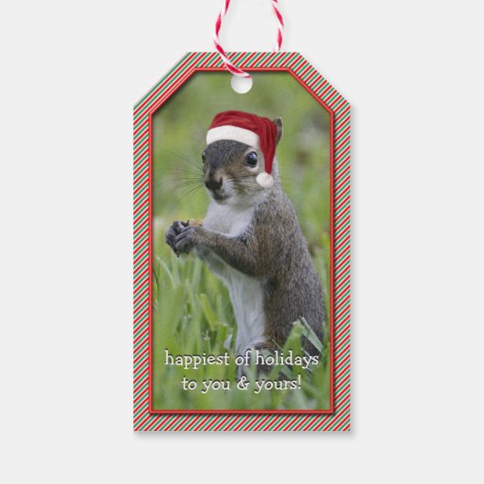 Sarcastische Santa Squirrel met Santa Hat Cadeaulabel (Achterkant)