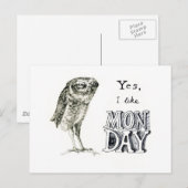 Sarcastische uil briefkaart (Voorkant / Achterkant)