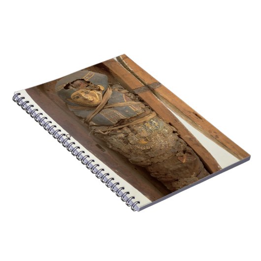 Sarcophagus en gemummificeerd lichaam van Psametik Notitieboek (Rechterzijde)