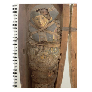 Sarcophagus en gemummificeerd lichaam van Psametik Notitieboek