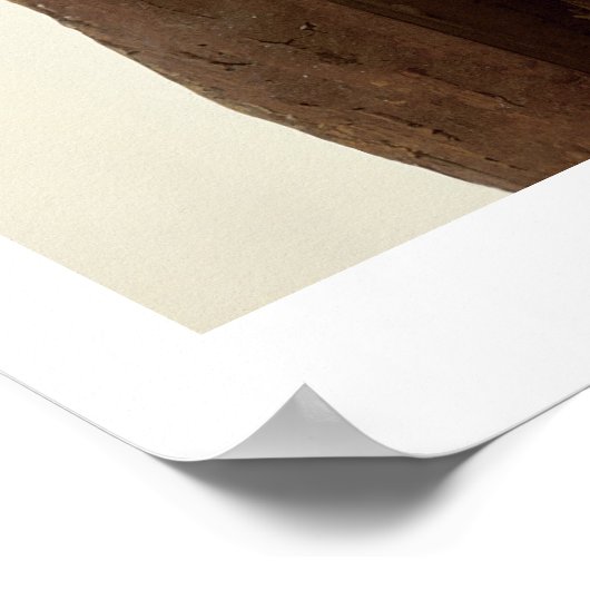 Sarcophagus en gemummificeerd lichaam van Psametik Poster (Hoek)