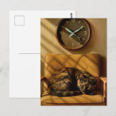 Sardine O’clock Dreamtime – Surreal Cat Art Briefkaart (Voorkant / Achterkant)