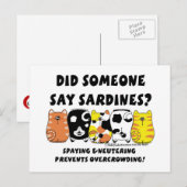 sardinekatten briefkaart (Voorkant / Achterkant)