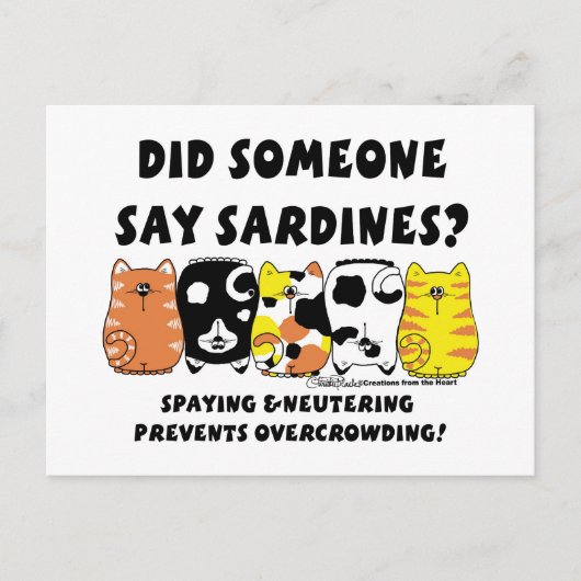 sardinekatten briefkaart (Voorkant)