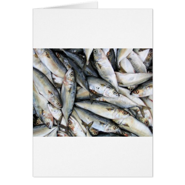 Sardines (Voorkant)