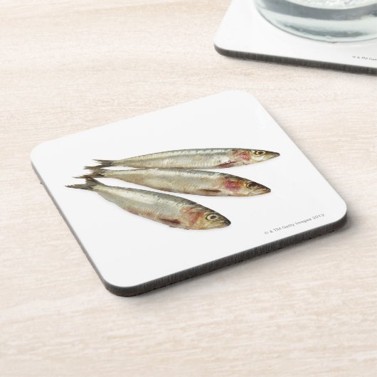 Sardines (loods) drankjes onderzetter (Linkerzijde)