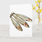 Sardines (loods) kaart (Gele Bloem)