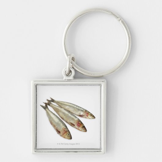 Sardines (loods) sleutelhanger (Voorkant)