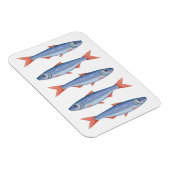 Sardines Magneet (Rechterzijde)