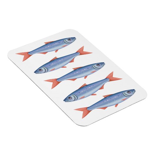 Sardines Magneet (Rechterzijde)