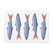 Sardines Magneet (Horizontaal)