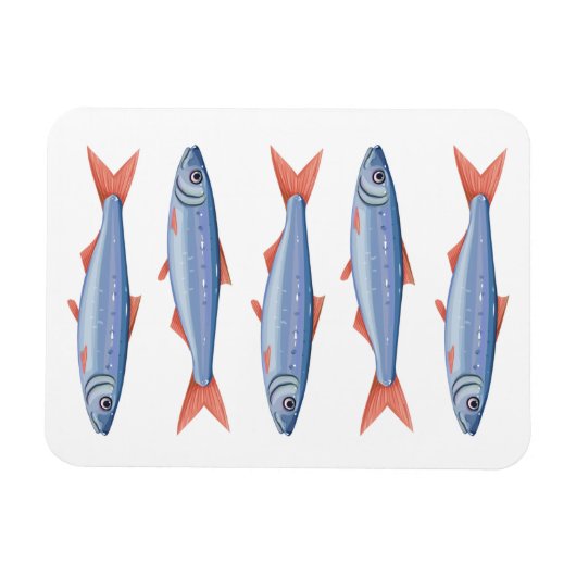 Sardines Magneet (Horizontaal)