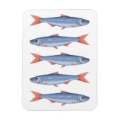 Sardines Magneet (Verticaal)