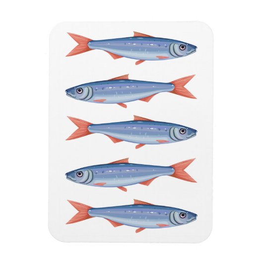 Sardines Magneet (Verticaal)