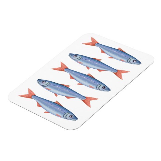 Sardines Magneet (Linkerzijde)