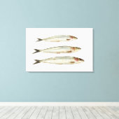 Sardines (Pilchards) 2 Canvas Afdruk (Insitu (Houten vloer))