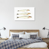 Sardines (Pilchards) 2 Canvas Afdruk (Insitu (Slaapkamer))